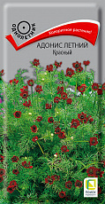 Семена Адонис летний красный цв/п 0,3 г Поиск